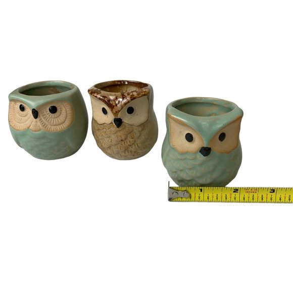 Pottery Owl Planter Mini Succulent Pots with Water Drain Hole- Set of 3 owls - Picture 11 of 12